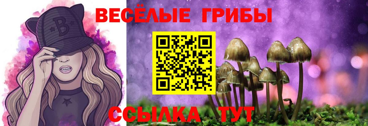 Псилоцибиновые грибы Psilocybe Узловая